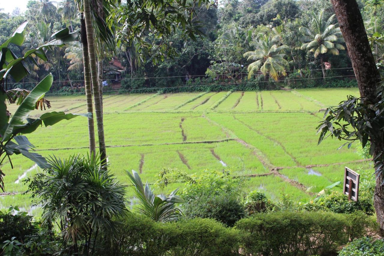 Paddy Field Villa Midigama East Exterior photo