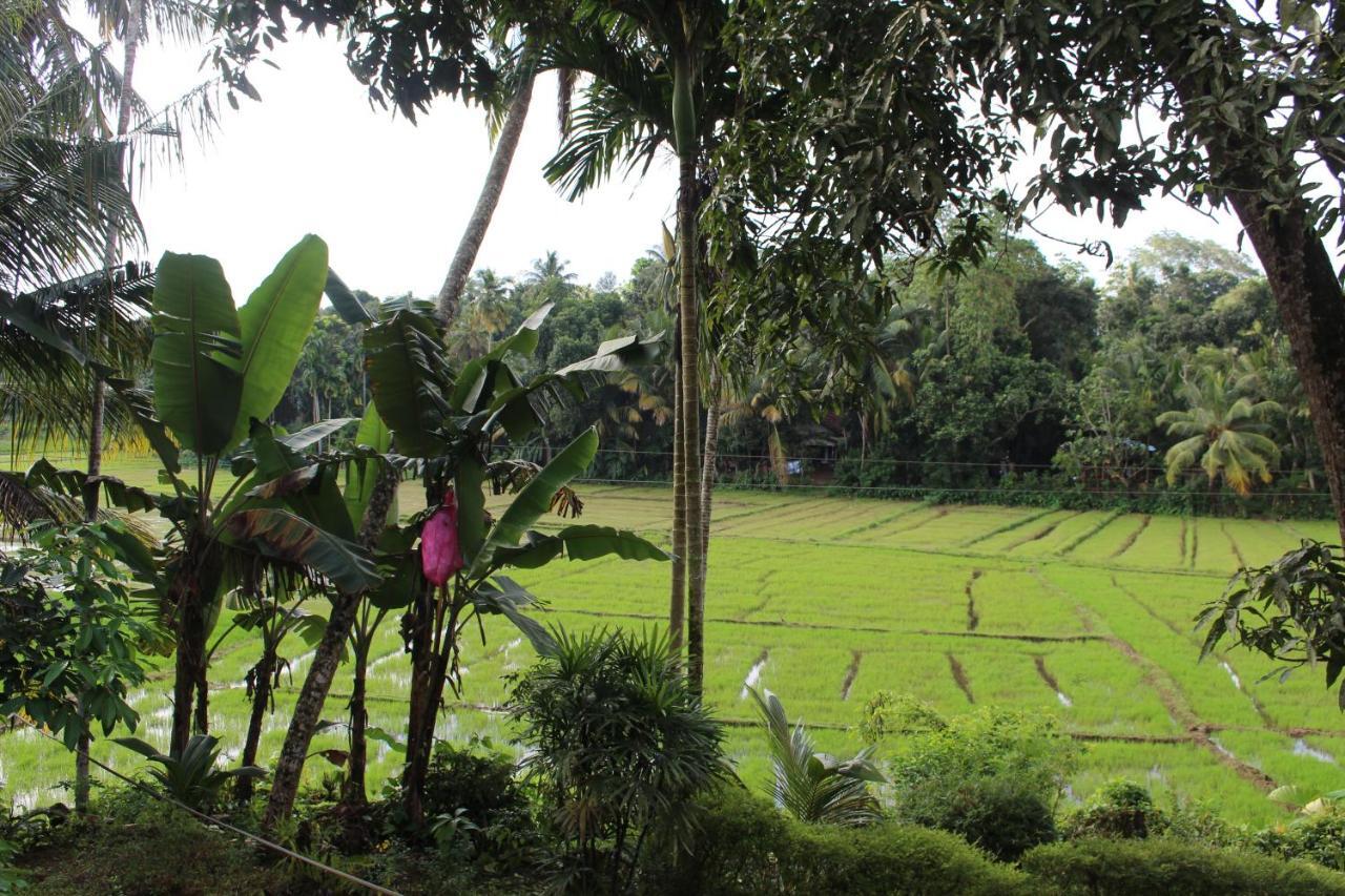 Paddy Field Villa Midigama East Exterior photo