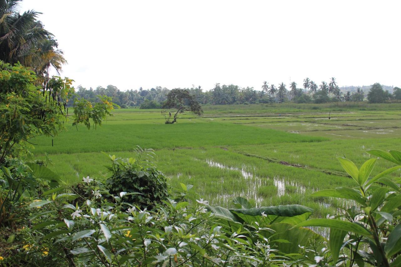 Paddy Field Villa Midigama East Exterior photo